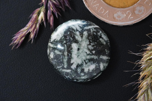 Cabochon en pierre fleurie, 21 x 7 mm, rond fait main, de Colombie-Britannique, Canada