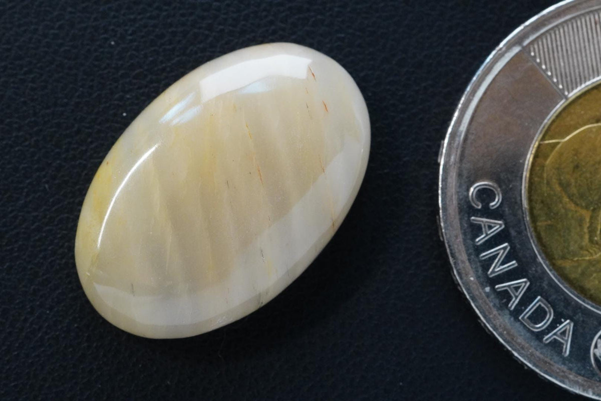 Petrified Wood Cabochon, 23 x 16 mm, Handmade Oval, from Saskatchewan, Canada