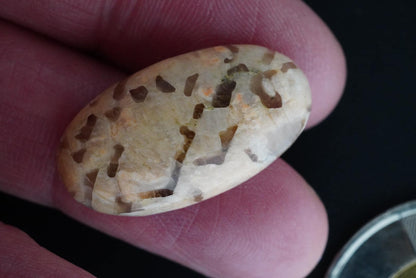 Graphic Quartz in Feldspar Cabochon, 25 x 14 mm, Handmade Oval, from Saskatchewan, Canada
