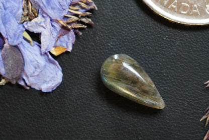 Labradorite Cabochon, 15 x 8 mm, Handmade Pear, from Newfoundland and Labrador, Canada