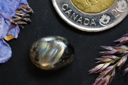 Labradorite Cabochon, 15 x 11 mm Handmade Oval,  from Newfoundland and Labrador, Canada