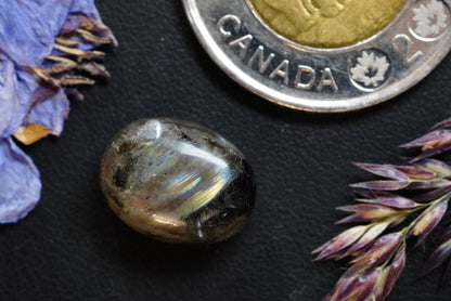 Labradorite Cabochon, 15 x 11 mm Handmade Oval,  from Newfoundland and Labrador, Canada