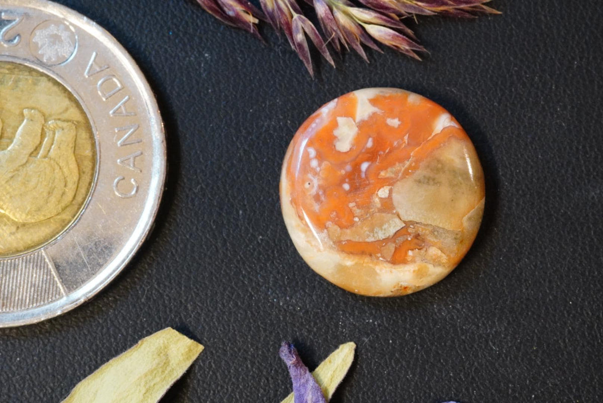 Agate Cabochon, 17 x 4 mm, Handmade Round, from Quebec, Canada