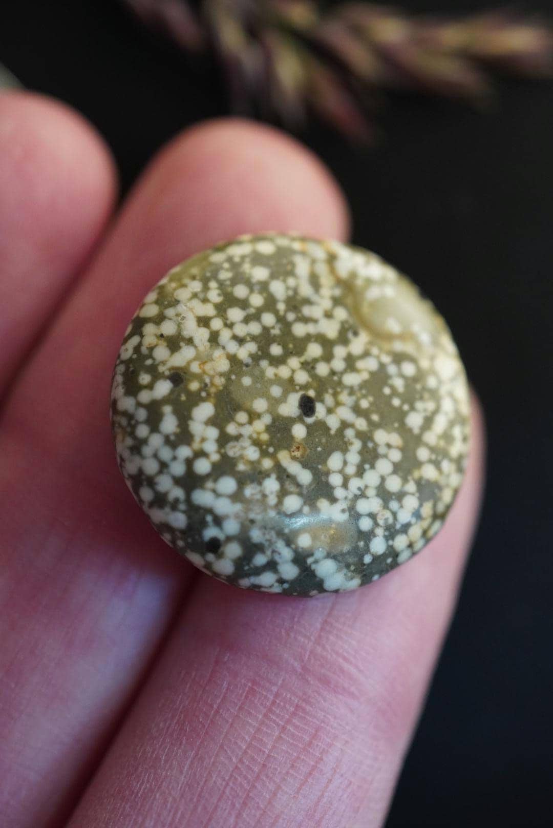 Spotted Jasper Cabochon, 22 x 4 mm, Handmade Round, from British Columbia, Canada