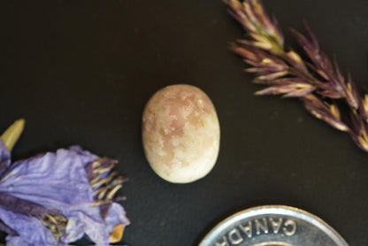 Wilsonite Cabochon, 15 x 12 mm Handmade Oval, from Ontario, Canada