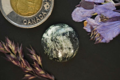 Flower Stone Cabochon, 20 x 7 mm Handmade Round, from British Columbia, Canada