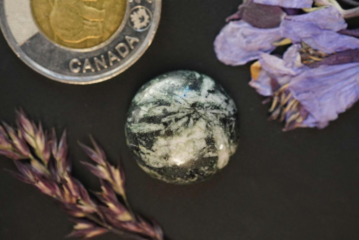 Flower Stone Cabochon, 20 x 7 mm Handmade Round, from British Columbia, Canada