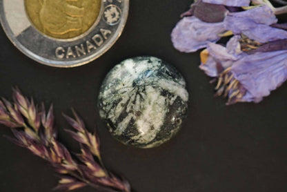 Flower Stone Cabochon, 20 x 7 mm Handmade Round, from British Columbia, Canada