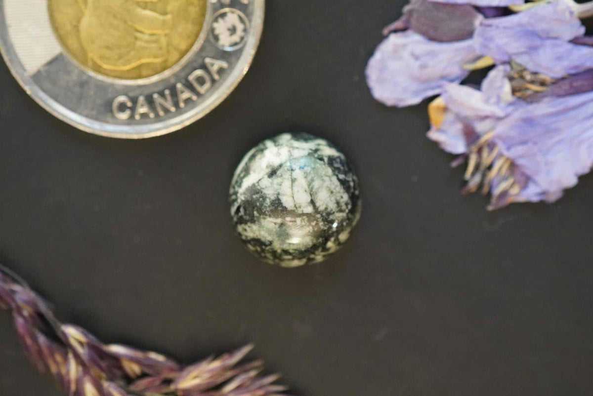 Flower Stone Cabochon, 14 x 6 mm, Handmade Round, from British Columbia, Canada