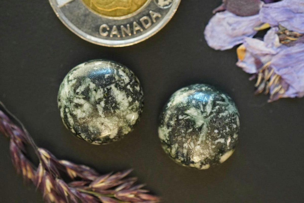Flower Stone Cabochons, 17 x 7 mm, Handmade Round Pair, from British Columbia, Canada