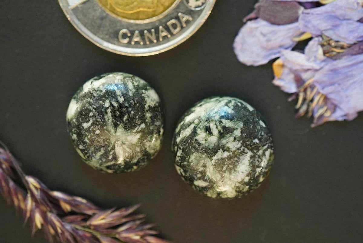 Flower Stone Cabochons, 17 x 7 mm, Handmade Round Pair, from British Columbia, Canada