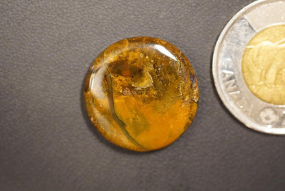 Jasper Agate Cabochon, 23 x 5 mm, Handmade Round, from British Columbia, Canada