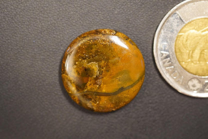 Jasper Agate Cabochon, 23 x 5 mm, Handmade Round, from British Columbia, Canada