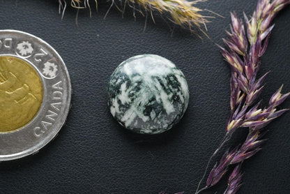 Flower Stone Cabochon, 17 x 6 mm, Handmade Round, from British Columbia, Canada