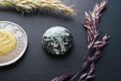 Flower Stone Cabochon, 17 x 6 mm, Handmade Round, from British Columbia, Canada