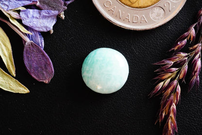 Amazonite Cabochon, 12 x 5 mm, Handmade Round, from Quebec, Canada