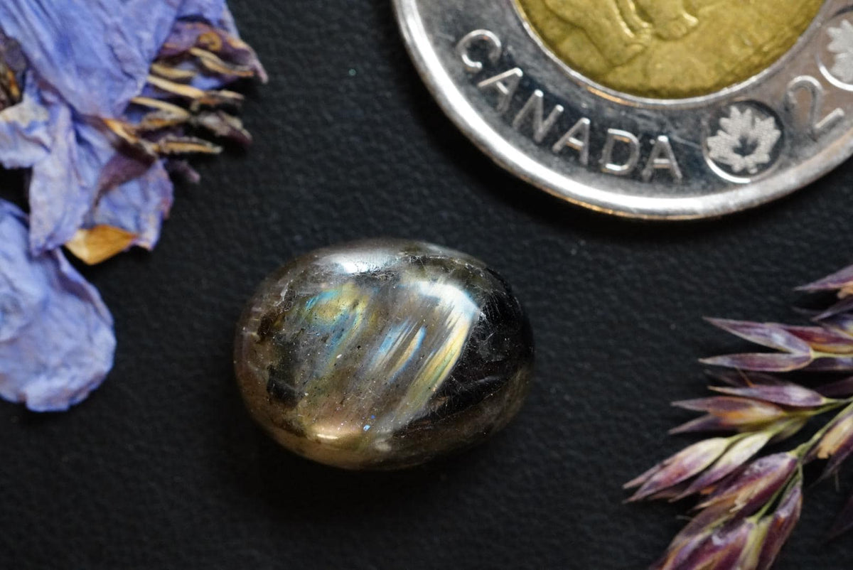 Labradorite Cabochon, 15 x 11 mm Handmade Oval,  from Newfoundland and Labrador, Canada