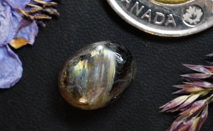 Labradorite Cabochon, 15 x 11 mm Handmade Oval,  from Newfoundland and Labrador, Canada