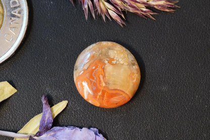 Agate Cabochon, 16 x 4 mm, Handmade Round, from Quebec, Canada