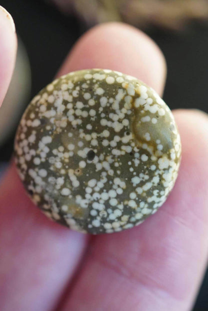Spotted Jasper Cabochon, 22 x 4 mm, Handmade Round, from British Columbia, Canada