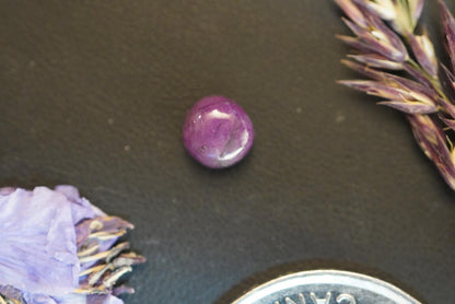 Corundum-Sapphire Cabochon, 6.25 x 3.5 mm, Handmade Round, from British Columbia, Canada
