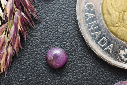 Corundum-Sapphire Cabochon, 4.75 x 2.55 mm, Handmade Round, from Newfoundland and Labrador, Canada