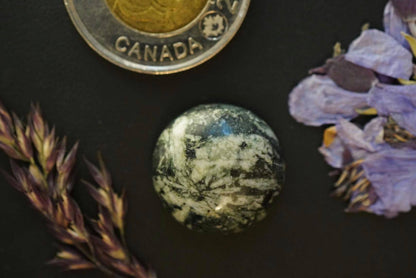 Flower Stone Cabochon, 20 x 7 mm Handmade Round, from British Columbia, Canada