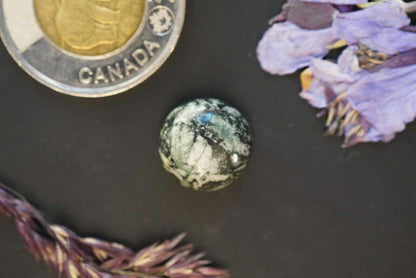 Flower Stone Cabochon, 14 x 6 mm, Handmade Round, from British Columbia, Canada