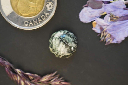 Cabochon en pierre fleurie, 14 x 6 mm, rond fait main, de Colombie-Britannique, Canada