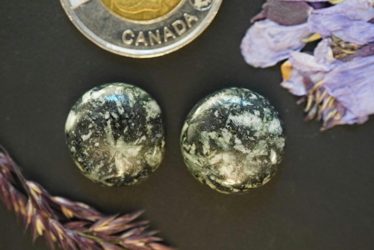 Flower Stone Cabochons, 17 x 7 mm, Handmade Round Pair, from British Columbia, Canada