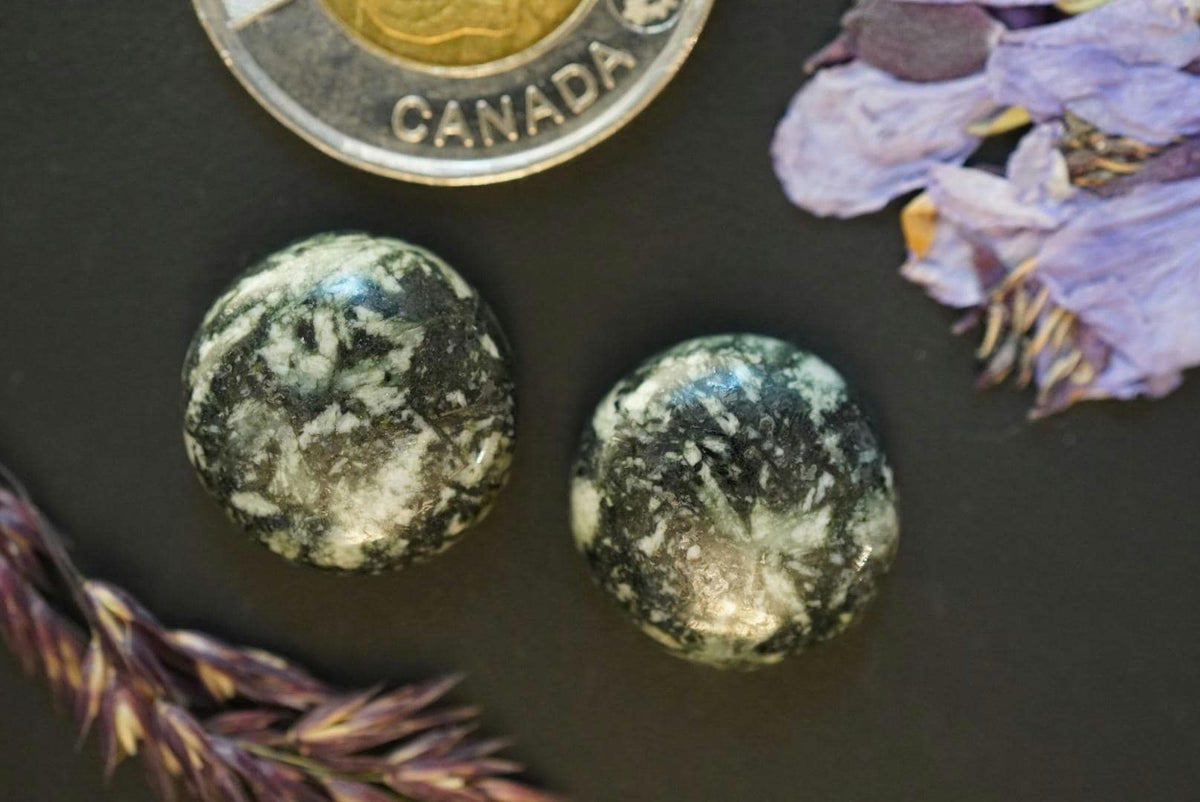 Flower Stone Cabochons, 17 x 7 mm, Handmade Round Pair, from British Columbia, Canada