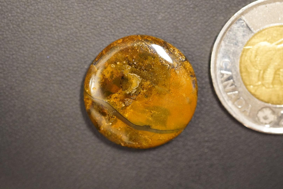 Jasper Agate Cabochon, 23 x 5 mm, Handmade Round, from British Columbia, Canada