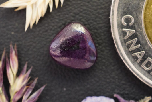 Cabochon de corindon-saphir, 8,75 x 3,9 mm, taille trillion artisanale, de Terre-Neuve-et-Labrador, Canada