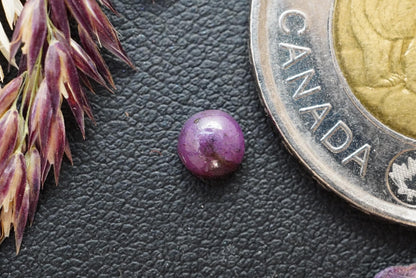 Corundum-Sapphire Cabochon, 4.75 x 2.55 mm, Handmade Round, from Newfoundland and Labrador, Canada