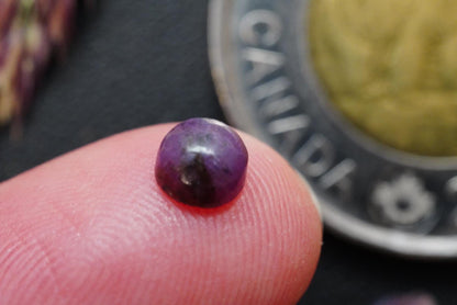 Corundum-Sapphire Cabochon, 4.75 x 2.55 mm, Handmade Round, from Newfoundland and Labrador, Canada