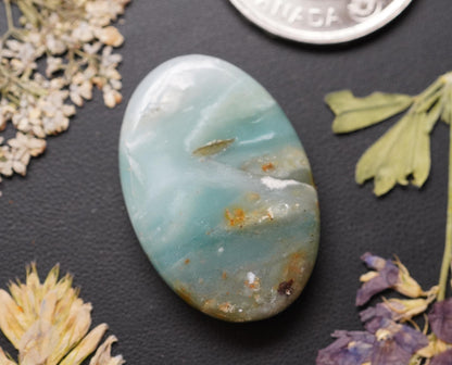 Ocean Picture Stone Cabochon, 33 x 22 mm, Handmade Oval, from British Columbia, Canada