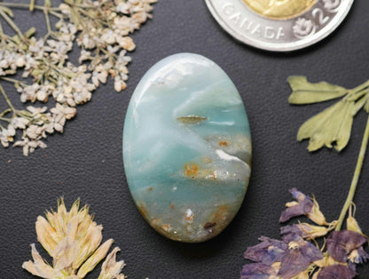 Ocean Picture Stone Cabochon, 33 x 22 mm, Handmade Oval, from British Columbia, Canada