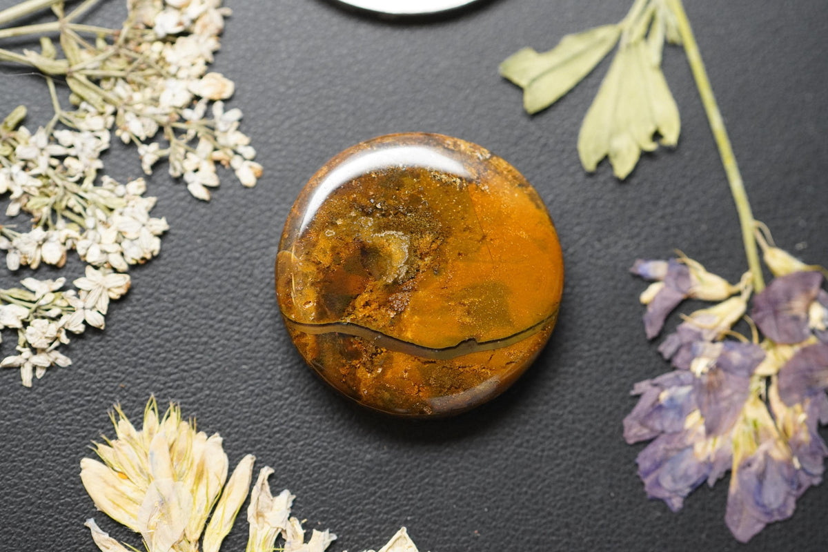 Jasper Agate Cabochon, 23 x 5 mm, Handmade Round, from British Columbia, Canada