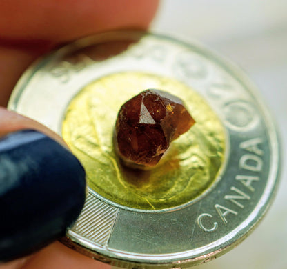 Espécimen de granate espesartina, 8 × 6 × 5 mm, de Columbia Británica, Canadá
