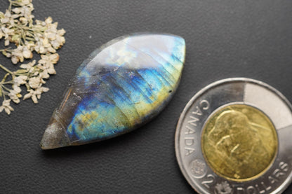 Labradorite Cabochon, 38 x 19 mm, Handmade Marquise-Navette, from Newfoundland and Labrador, Canada