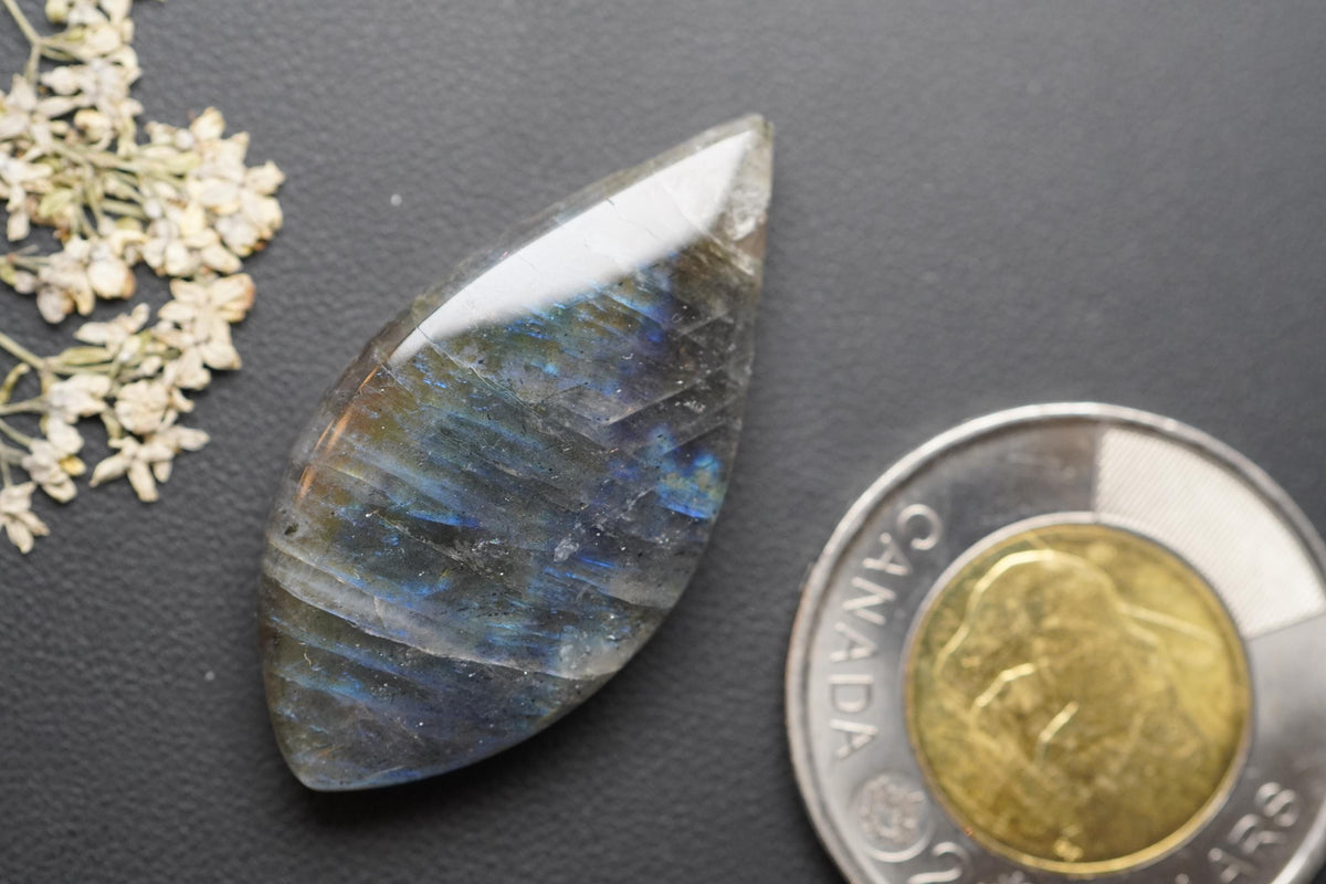 Labradorite Cabochon, 38 x 19 mm, Handmade Marquise-Navette, from Newfoundland and Labrador, Canada