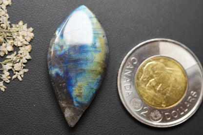 Labradorite Cabochon, 38 x 19 mm, Handmade Marquise-Navette, from Newfoundland and Labrador, Canada