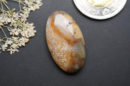 Prairie Agate Cabochon, 31 x 18 mm, Handmade Oval, from Saskatchewan, Canada