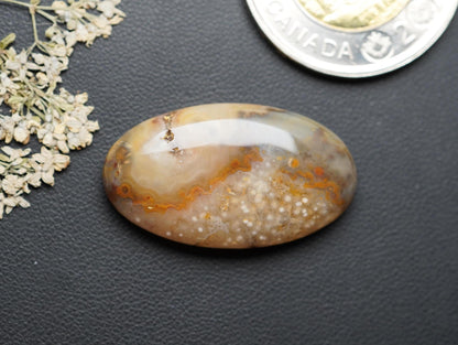 Prairie Agate Cabochon, 31 x 18 mm, Handmade Oval, from Saskatchewan, Canada