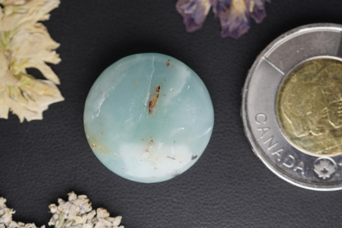 Ocean Picture Stone Cabochon, 21.5 x 5.60 mm, Handmade Round, from British Columbia, Canada