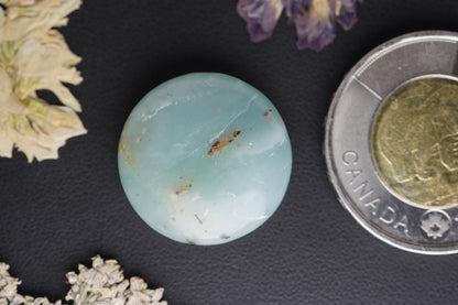 Ocean Picture Stone Cabochon, 21.5 x 5.60 mm, Handmade Round, from British Columbia, Canada