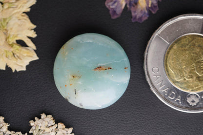 Ocean Picture Stone Cabochon, 21.5 x 5.60 mm, Handmade Round, from British Columbia, Canada