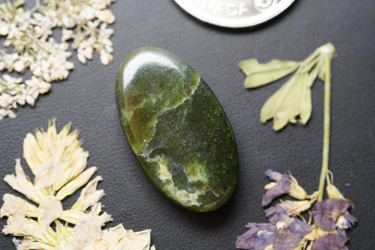 Nephrite Jade Cabochon, 31 x 17.5 mm, Handmade Oval, from British Columbia, Canada